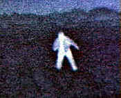 Thermal image of person in field