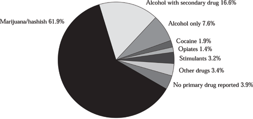 Figure 8:Treatment Admissions by Primary Substance of Abuse (Ages 12–17)
Pie chart with 8 items.
Item 1, Marijuana/Hashish 61.9%
Item 2, Alcohol with Secondary Drug 16.6%.
Item 3, Alcohol Only 7.6%.
Item 4, Cocaine 1.9%.
Item 5, Opiates 1.4%.
Item 6, Stimulants 3.4%.
Item 7, Other Drugs %.
Item 8, No Primary Drug Reported 3.9%.